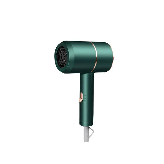 8812 Professional Hair Dryer Blow Dryer