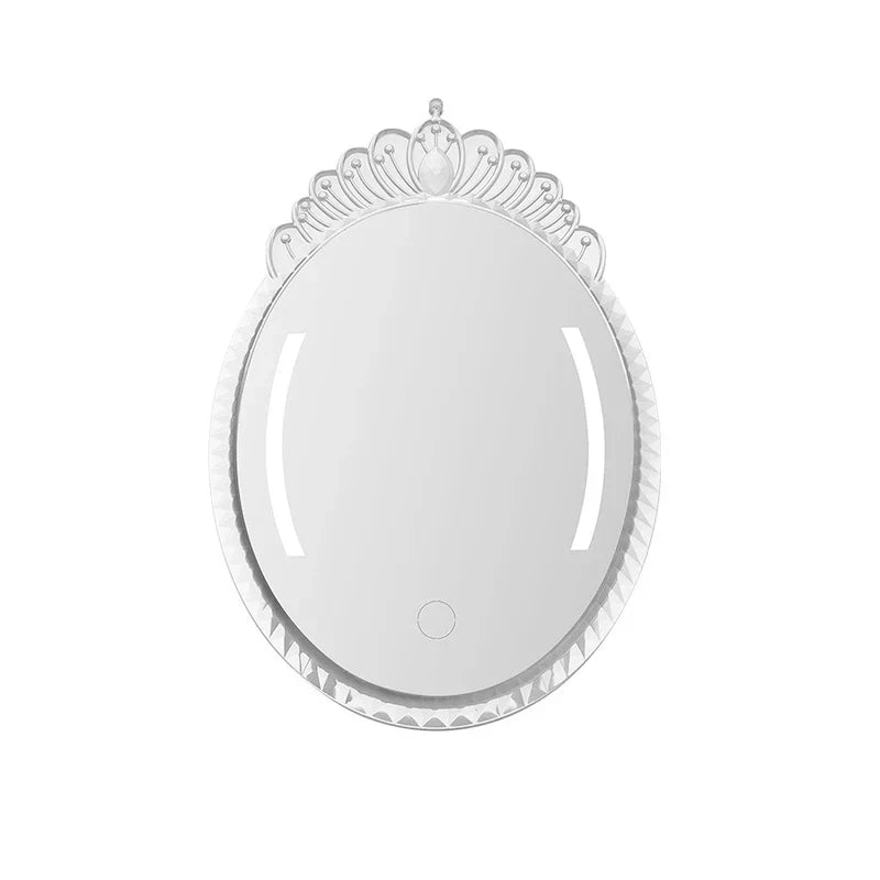 USB wall-mounted or standing dual-purpose LED makeup mirror
