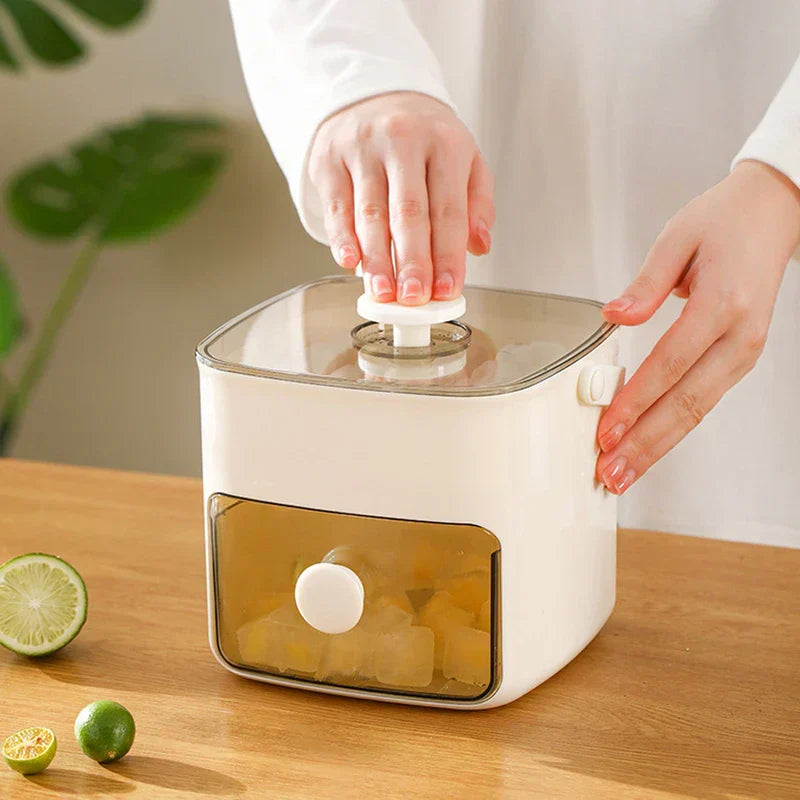 Double Layer Portable Ice Cube Tray Box