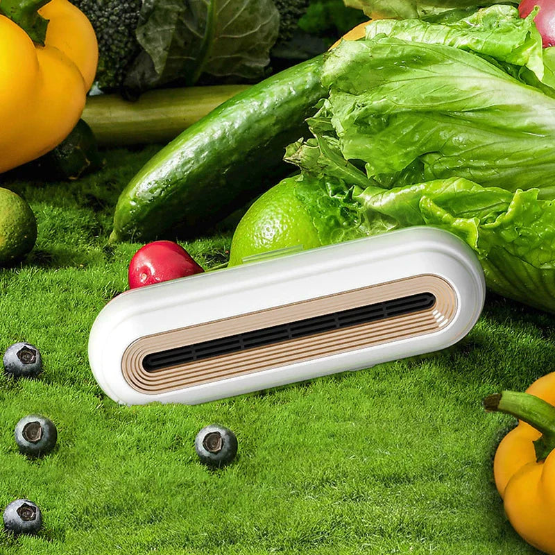 Refrigerator Deodorizer Sterilizer Odor Eliminator